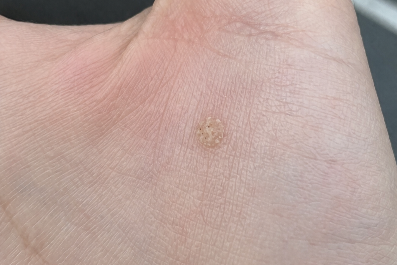 chatgpt image 5 kwi 2026, 11 17 17